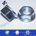 Zinc Galvanized Carbon Steel DIN6923 Flange Nut